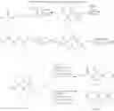Fig. 35 - Substituted xanthine derivatives
