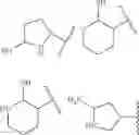 Fig. 24 - Functionally selective alpha2C adrenoreceptor agonists