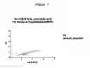 Fig. 08 - Methods and compositions using stearoyl-CoA desaturase to identify triglyceride reducing therapeutic agents