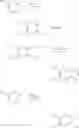 Fig. 697 - Modulators of ATP-binding cassette transporters