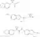 Fig. 735 - Modulators of ATP-binding cassette transporters