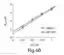 Fig. 41 - Aptamer therapeutics useful in the treatment of complement-related disorders