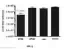 Fig. 09 - Compositions and methods for inhibiting expression of a gene from the ebola virus