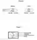 Fig. 07 - METHOD OF REVERSING, PREVENTING, DELAYING OR STABILIZING SOFT TISSUE CALCIFICATION