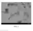 Fig. 02 - Compositions and method for making hollow nanoparticles from metal soaps