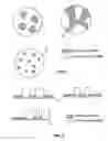 Fig. 02 - Polymer composites having particles with mixed organic modifications