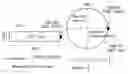 Fig. 01 - Polycarbonate resin composition with good light stability and dimensional stability