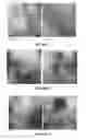 Fig. 02 - Elastomeric Copolymers, Copolymer Compositions, and Their Use in Articles