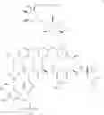 Fig. 09 - Process for preparing glycopeptide phosphonate derivatives