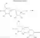 Fig. 09 - 1,2-dideoxy-1,2-diamino oligosaccharides and polysaccharides and derivatives thereof