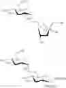 Fig. 43 - 1,2-dideoxy-1,2-diamino oligosaccharides and polysaccharides and derivatives thereof