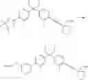 Fig. 335 - VITAMIN-D-LIKE COMPOUNDS