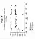 Fig. 06 - Hydrogenation process