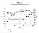 Fig. 08 - Hydrogenation process