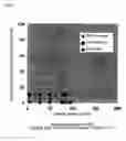 Fig. 08 - METHOD FOR MANUFACTURING COMPOUNDS HAVING AN ADAMANTANE STRUCTURE