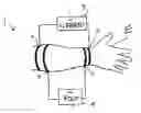 Fig. 01 - Integrated Pulse Oximeter-Pulse Flowmeter