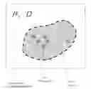 Fig. 01 - Systems and methods for tomographic imaging in diffuse media using a hybrid inversion technique