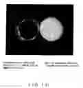 Fig. 08 - METHOD FOR KILLING CELLS USING PHOTOCATALYTIC TITANIUM DIOXIDE PARTICLES