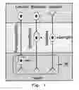 Fig. 02 - Apparatus and methods for arrhythmia treatment based on spectral mapping during sinus rhythm