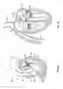 Fig. 02 - METHODS, SYSTEMS AND DEVICES FOR CARDIAC VALVE REPAIR