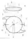 Fig. 03 - Optics and IOLs for Inhibiting cell migration and reduce optic edge dysphotopsia