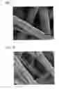Fig. 02 - GUIDED BONE REGENERATION MEMBRANE AND MANUFACTURING METHOD THEREOF