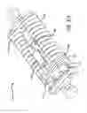 Fig. 53 - Adjustable absorber designs for implantable device