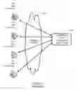 Fig. 02 - Voice application network platform