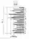 Fig. 06 - Disease Resistant Transgenic Plants