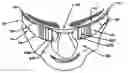 Fig. 01 - Swimming goggles