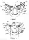 Fig. 04 - Swimming goggles
