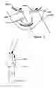 Fig. 07 - Swimming goggles