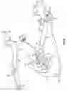 Fig. 07 - Double motion door hinge for motor vehicles