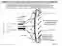 Fig. 05 - FIRESHIELD DEVICE FOR HOME PROTECTION AGAINST THREATENING WILDFIRES