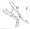 Fig. 02 - Horse Halter