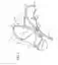 Fig. 03 - Horse Halter