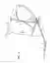 Fig. 05 - Horse Halter