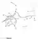 Fig. 14 - Animal training apparatus