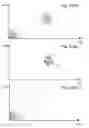 Fig. 16 - Characterization of fancy yarn