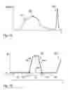 Fig. 12 - Characterization of fancy yarn
