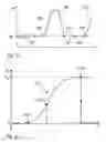 Fig. 13 - Characterization of fancy yarn