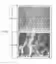 Fig. 09 - REGENERATIVE REFRIGERATOR