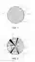 Fig. 02 - Method and apparatus for determining the nodosity of a wooden plank