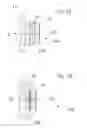 Fig. 03 - Non-lethal projectile