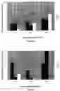 Fig. 06 - Environmental friendly anti-microbial adhesion agents for anti-fouling paints and anti-fouling paints containing them