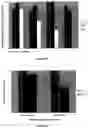 Fig. 07 - Environmental friendly anti-microbial adhesion agents for anti-fouling paints and anti-fouling paints containing them