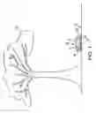 Fig. 02 - Protected Squirrel Feeder
