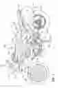 Fig. 02 - Multi-cylinder internal combustion engine
