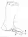 Fig. 01 - STOCKING FOR FEET WITH BUNIONS