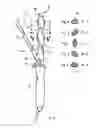 Fig. 02 - HAIR SHAPING DEVICE